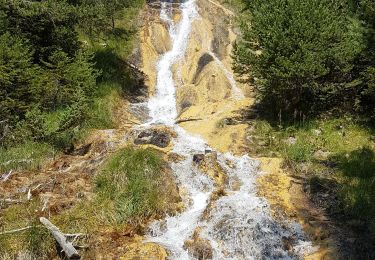 Tour Wandern Hautecour - Forêt des Gollards - Photo