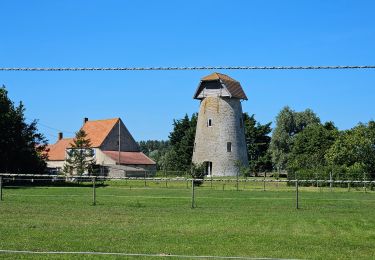 Tour Elektrofahrrad Audresselles - Bazinghem - Photo