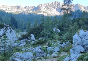 Trail Walking Bohinj - Etape 4 : hut to hut  - Photo