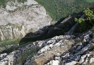 Excursión Senderismo Saou - le petit et grand pommerol - Photo