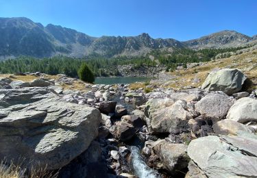 Tocht Stappen Tende - Montée au refuge des merveilles  - Photo