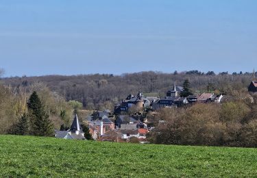Tour Wandern Dalhem - 2025-04-02_11h36m32_Trail Mauve 2025 Feneur 19.4Km 345D+.gpx.xml - Photo