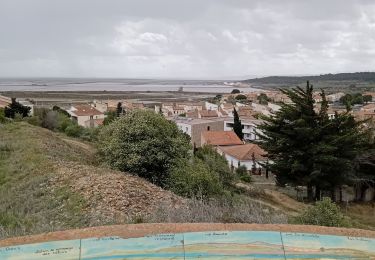 Trail Walking Gruissan - Pech des moulins Gruissan - Photo