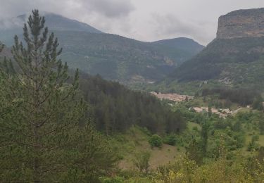 Trail Walking Rémuzat - Rémusat ➡️Montrond - Photo