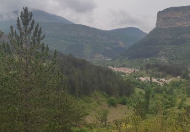 Tour Wandern Rémuzat - Rémusat ➡️Montrond - Photo