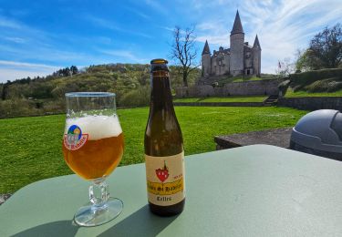 Trail Walking Houyet - Balade autour du Château de Vêves - Celles - Photo