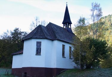 Tour Zu Fuß Kaprun - Klamm-Lauf - Photo