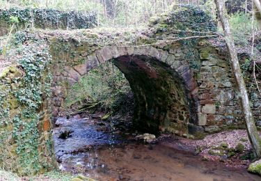 Trail Walking Sermentizon - Sermentizon_Chemin_Lilion - Photo