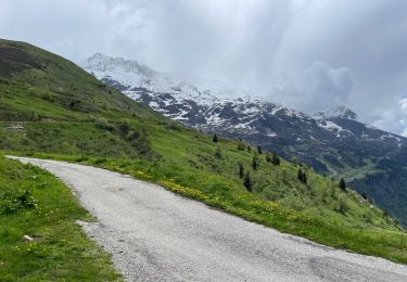 Excursión Senderismo Vaujany - Sabot cochette enneigée  - Photo