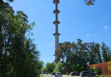 Trail Walking Liège - A la découverte du Sart-Tilman 🥾 - Photo