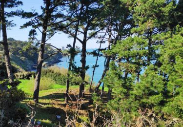 Tour Wandern Le Palais - balade autour de AdJ - Photo
