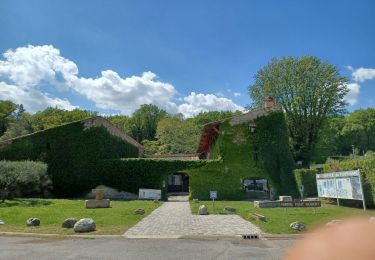 Trail Walking Château-Arnoux-Saint-Auban - CHATEAU ARNOUX .  Chapelle S Jean o l - Photo