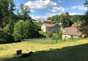 Trail Horseback riding Fougerolles-Saint-Valbert - Moulin taquere 7kms - Photo