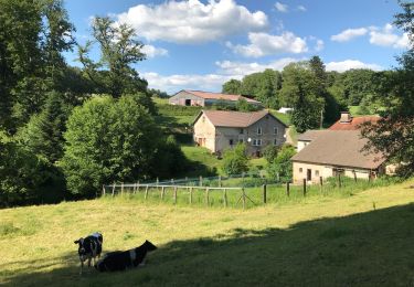 Percorso Equitazione Fougerolles-Saint-Valbert - Moulin taquere 7kms - Photo