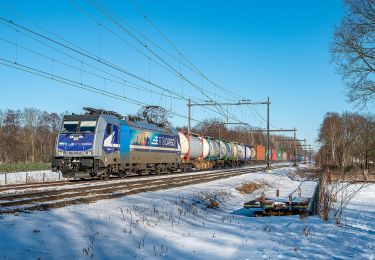 Percorso A piedi Hengelo - Rondje Hengelo - Photo