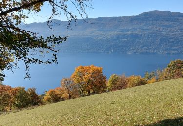 Trail Walking Aix-les-Bains - bois de corset-La Chambotte - Photo