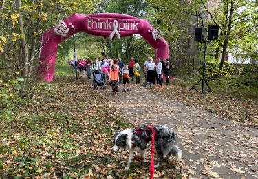 Trail Walking Bastogne - Race for the cure Bastogne 2022  - Photo