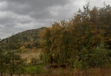 Trail Walking Riemst - jour de ras le bol et de temps de merde  - Photo