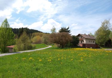 Excursión A pie Miltach - A3 Altransberg Riedern Hammersdorf - Photo