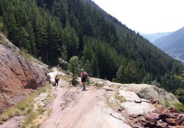 Excursión Senderismo Chamonix-Mont-Blanc - MASSIF DU MONT BLANC: DESCENTE LIVE MONTENVERS - CHAMONIX ... via la buvette des Mottets - Photo