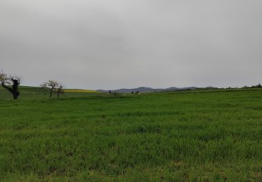 Randonnée Marche Vindry-sur-Turdine - Autour de Saint loup  - Photo