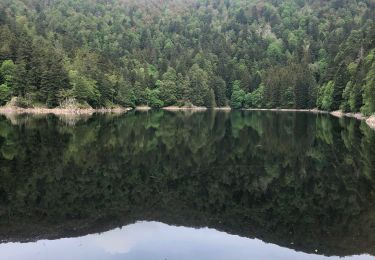 Trail Walking Mittlach - Mittlach  - Photo