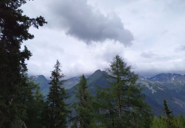 Trail Walking Mallnitz - mallnitz - Photo