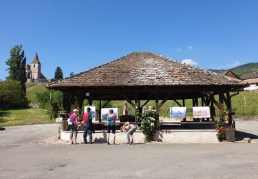 Tour Wandern Mittelweier - Les perles du vignoble : Mittelwihr - Beblenheim - Zellenberg - Hunawihr - Riquewihr - Sigolsheim - Photo