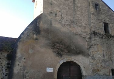 Randonnée Marche Neuvelle-lès-Cromary - Rioz Bois des Vaudots 16 janv 2020 CAF - Photo