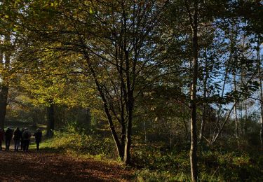 Trail Walking Fère-en-Tardenois - Fere en Tardenois du 04-11-2024 - Photo