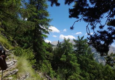 Tour Wandern Allos - Allos:rando à partir de la Haute Colette - Photo