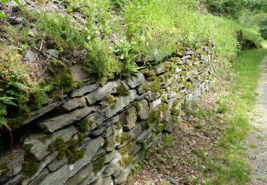 Randonnée A pied Altenahr - Altenahr Rundweg 1 - Photo