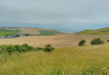 Randonnée Marche Sangatte - CANI-RADO TOUR (boucle Cap Blanc nez) - Photo