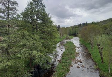 Tocht Stappen Pied-de-Borne - GRP Tour du Chassezac en 2 jours - Photo