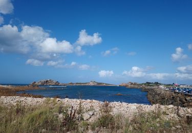 Excursión Senderismo Plougasnou - Le Diben 09082019 - Photo