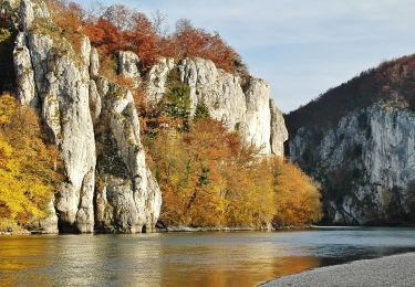 Tour Zu Fuß Kelheim - W 59 Kelheim - Weltenburg (Rotes Rechteck) - Photo