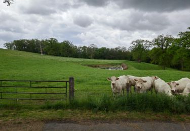 Trail Walking Marcillat-en-Combraille - grand tour Chadenas  - Photo