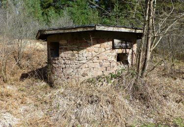 Tocht Te voet Reichelsheim (Odenwald) - Geo-Lehrpfad Ober-Kainsbach : Baustein, Erz und schwerer Spat (orange) - Photo