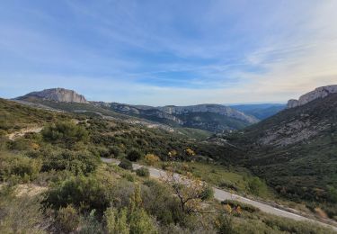 Trail Walking Gémenos - le baou de Bertagne au départ du col de l'Espigoulier  - Photo