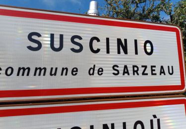 Excursión Senderismo Sarzeau - SARZEAU (Suscinio) - Photo