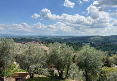 Tocht sport San Gimignano - Lucques - Photo