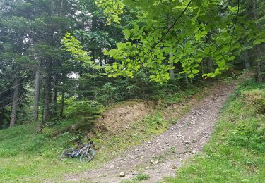 Percorso Mountainbike Seyssins - Les Hauts du Peuil en VTTAE  - Photo