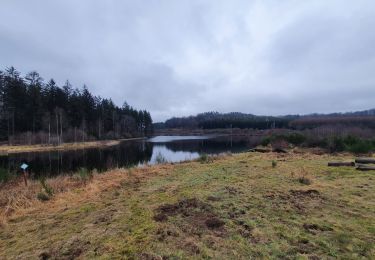 Tour Wandern Florenville - rando les epioux 3-02-2022 - Photo