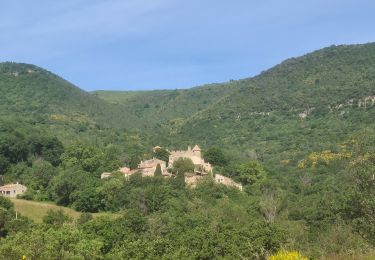 Excursión Marcha nórdica Olmet-et-Villecun - Villecun Lavalette  - Photo