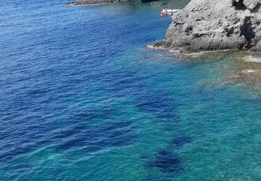 Excursión Senderismo el Port de la Selva - Cala Tamarina vers cala Fornels. - Photo