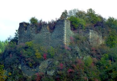 Tocht Te voet Argenschwang - Argenschwanger Rosenburgweg - Photo