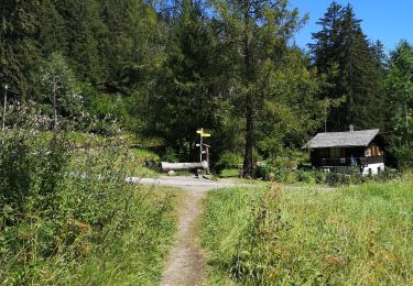 Trail Nordic walking Ayent - 05.08.20 bisse d'Ayen depuis le barrage  - Photo