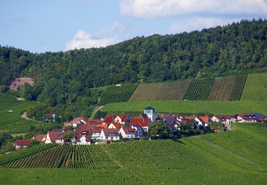 Tour Zu Fuß Vaihingen an der Enz - Roter Punkt, Häfnerhaslach - Langmantel - Photo