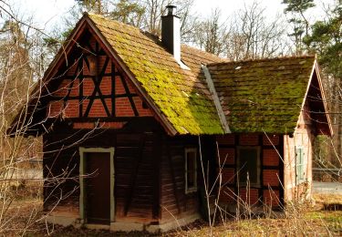 Tocht Te voet Herrenberg - SchönbuchTrauf - Photo