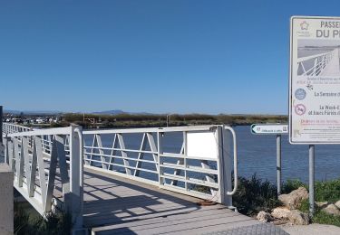 Tocht Elektrische fiets Villeneuve-lès-Maguelone - CCar Villeneuve Maguelone Palavas Pont du Pilou - Photo